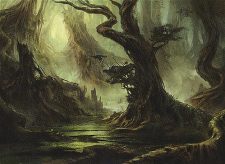 Swamp