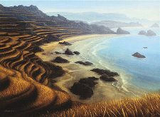 Tranquil Cove