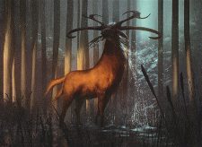 Wetland Sambar