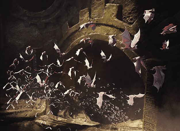 Bat Colony