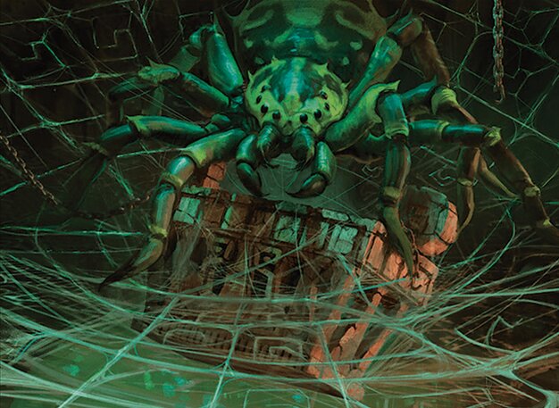 Mineshaft Spider