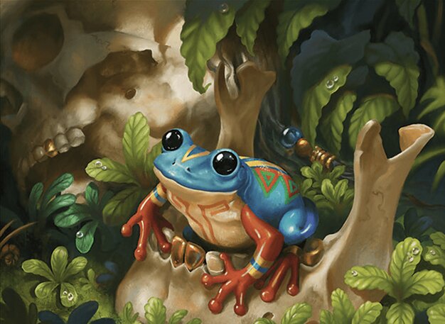 Poison Dart Frog