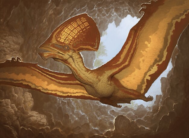 Soaring Sandwing