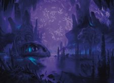 Swamp