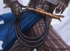 Swashbuckler’s Whip