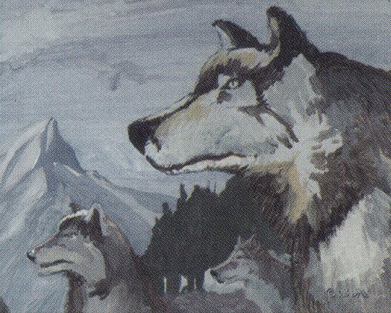 Aspect of Wolf