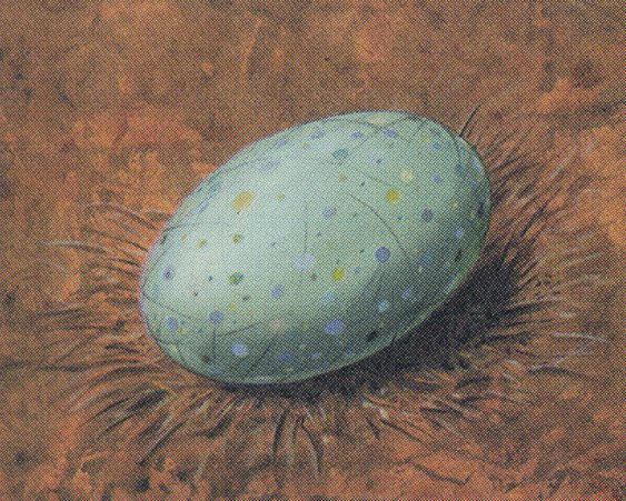 Dingus Egg