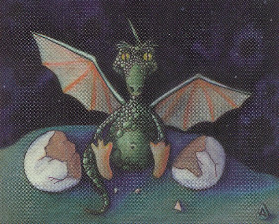 Dragon Whelp