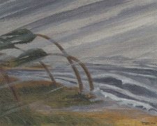 Hurricane