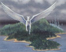 Island Sanctuary