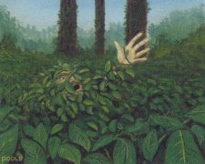 Kudzu