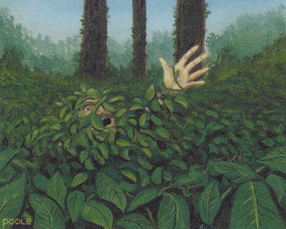 Kudzu