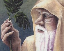 Ley Druid