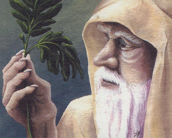 Ley Druid