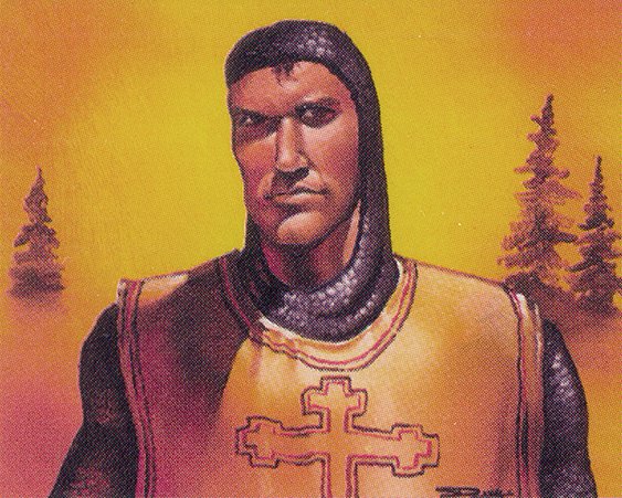 Northern Paladin