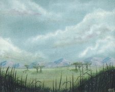 Plains