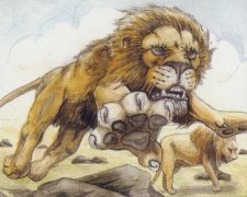 Savannah Lions