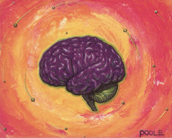Sleight of Mind