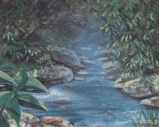 Stream of Life