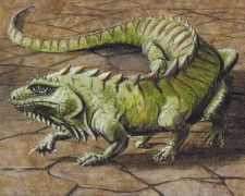 Thicket Basilisk