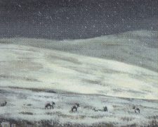 Tundra