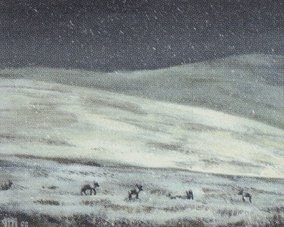Tundra