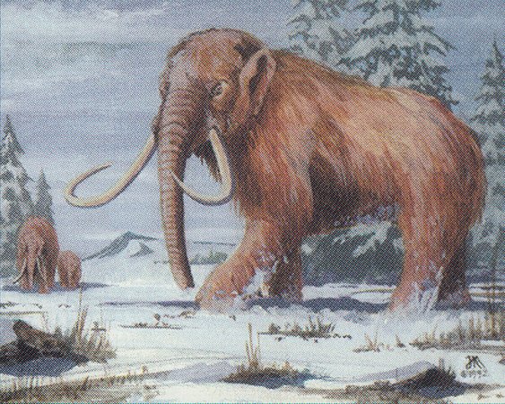 War Mammoth