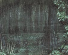 Bayou