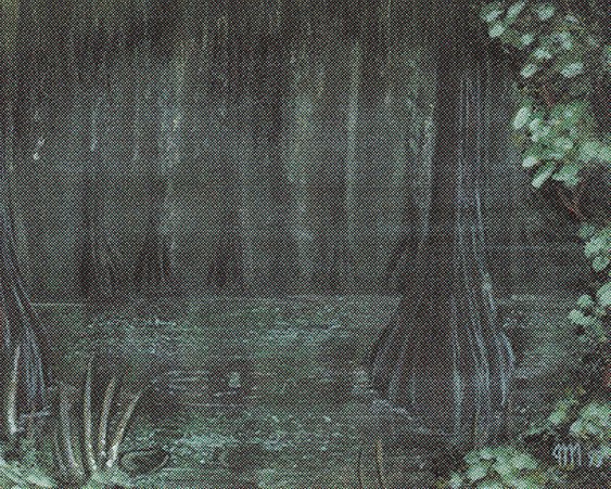 Bayou