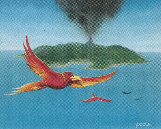 Birds of Paradise