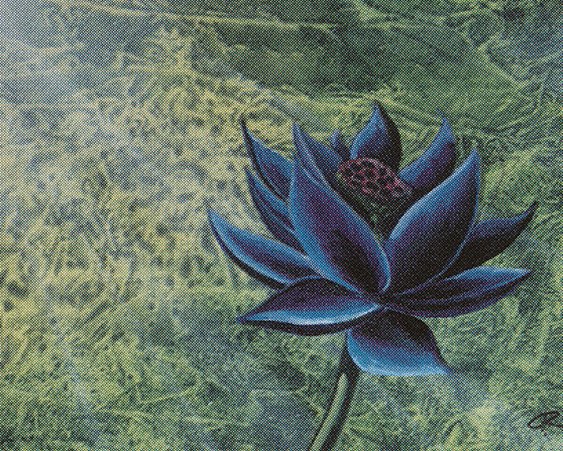Black Lotus