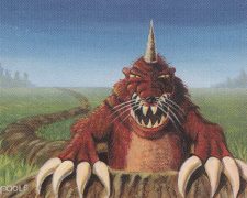 Burrowing