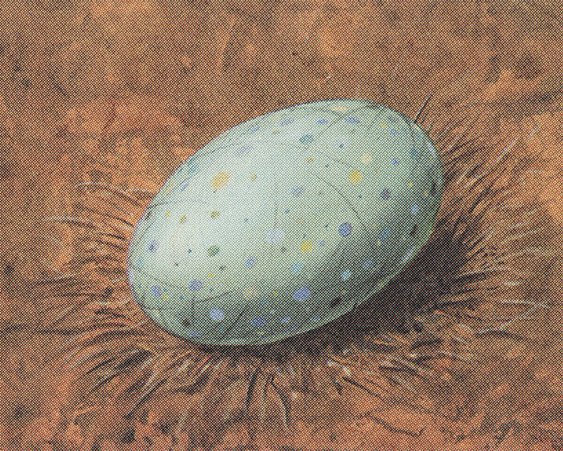 Dingus Egg