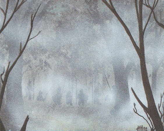 Fog