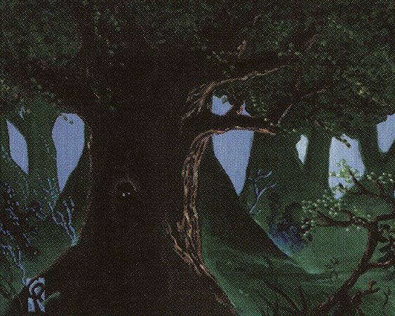 Forest