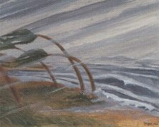 Hurricane