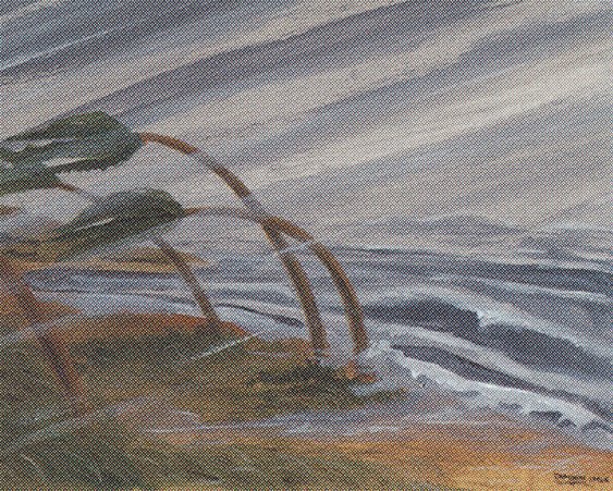 Hurricane