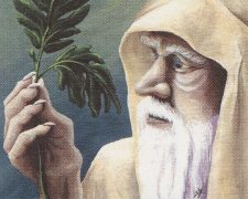 Ley Druid