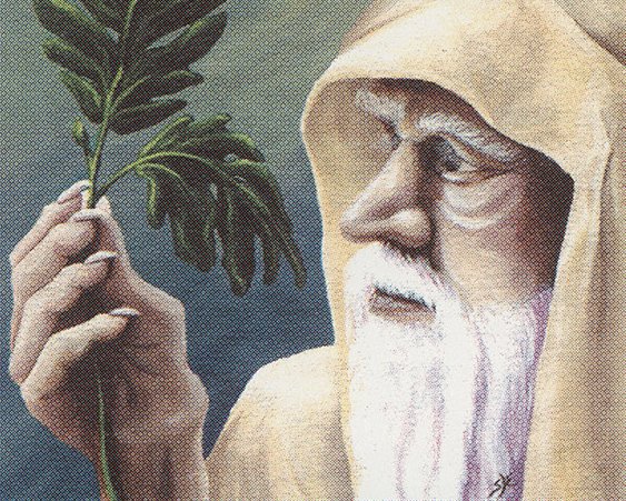 Ley Druid