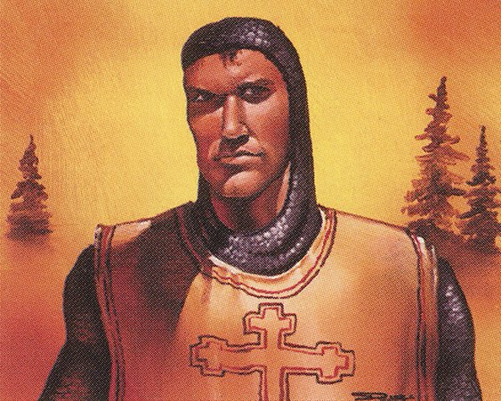 Northern Paladin