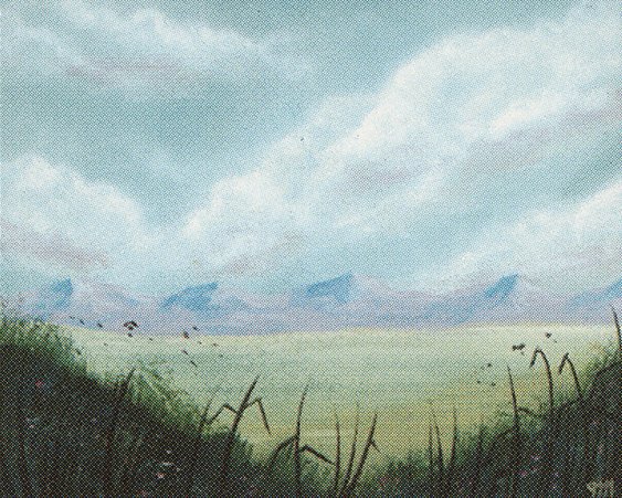 Plains