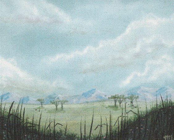 Plains