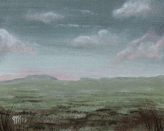 Plains