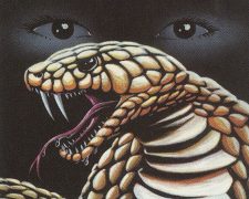 Psychic Venom