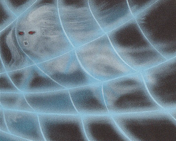 Soul Net