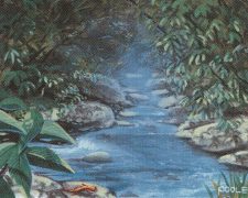 Stream of Life