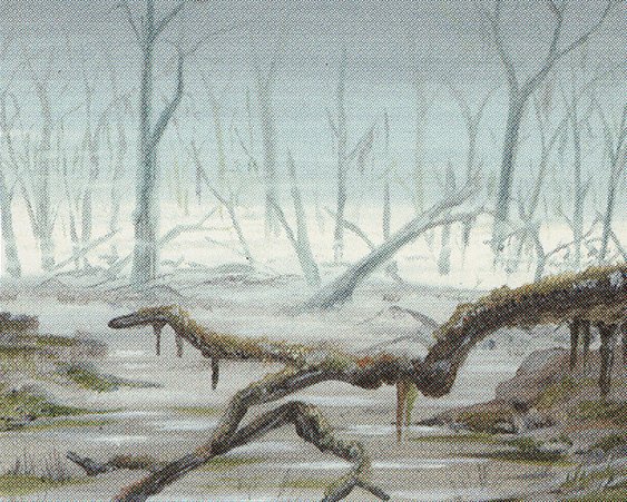 Swamp