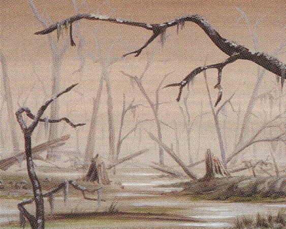 Swamp