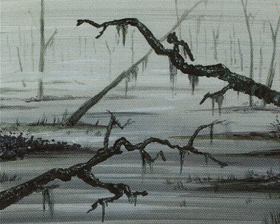 Swamp