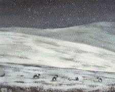 Tundra
